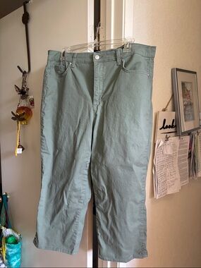 Gloria Vanderbilt Straight Leg Pants in Light Sage Green
